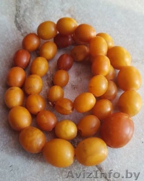 Куплю янтарные бусы СССР, Куски янтаря. Дорого - Изображение #1, Объявление #1505067