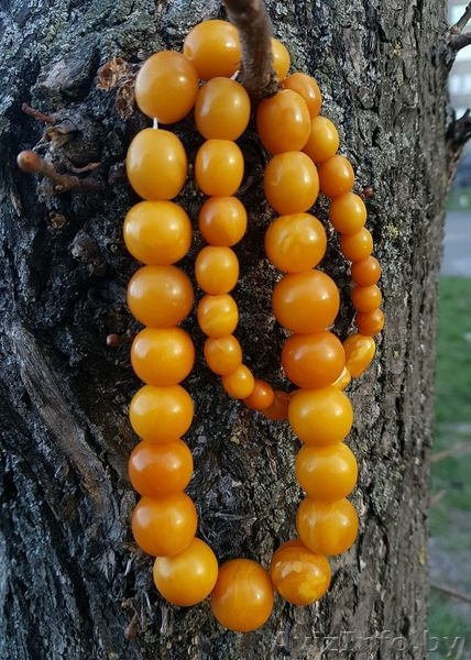 Куплю янтарные бусы СССР, Куски янтаря. Дорого - Изображение #5, Объявление #1505067