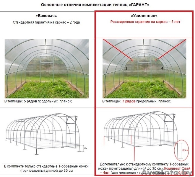 Теплица ГАРАНТ-Триумф Сверхпрочная - Изображение #2, Объявление #1534072