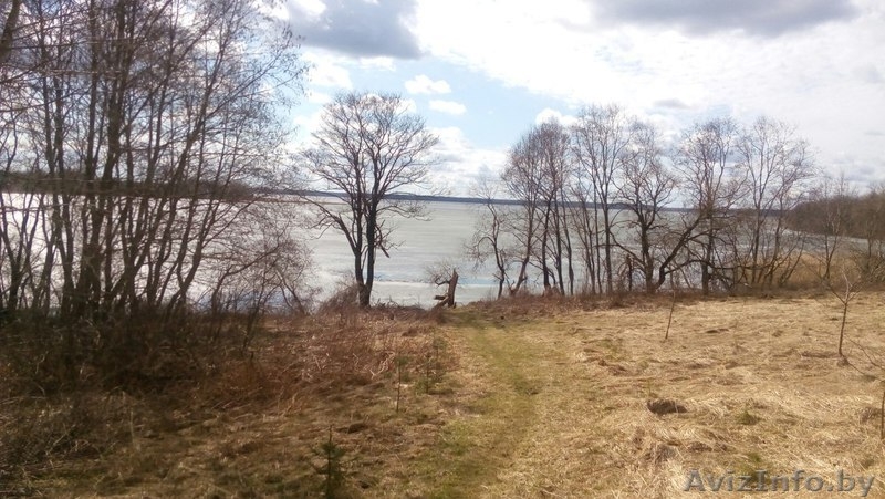 Участок в садовом товариществе Пальминка - Изображение #8, Объявление #1548851