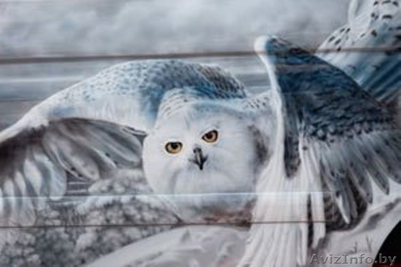 Кузовной ремонт автомобилей, покраска, полировка - Изображение #2, Объявление #1569731