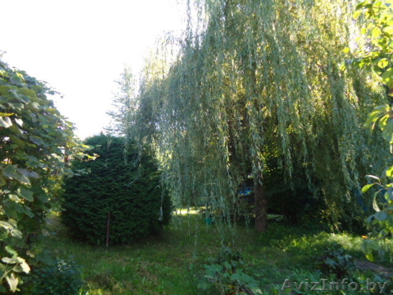  д. Бор, 2011г, брус, 145м.кв, 25сот,баня, пирс, 1я. берег .оз.Неколоч - Изображение #3, Объявление #1563007