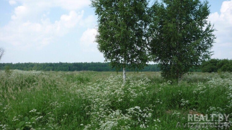 Участок 12сот.на Браславских озерах под строительство дешево - Изображение #5, Объявление #1579284