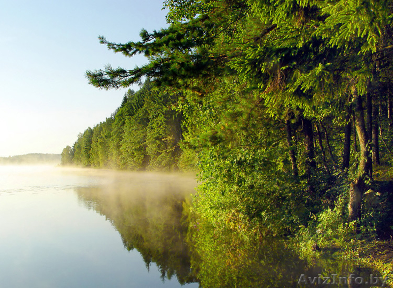 Участок под строительство дома 12сот. деревня Дукели, Браславский район - Изображение #1, Объявление #1580026