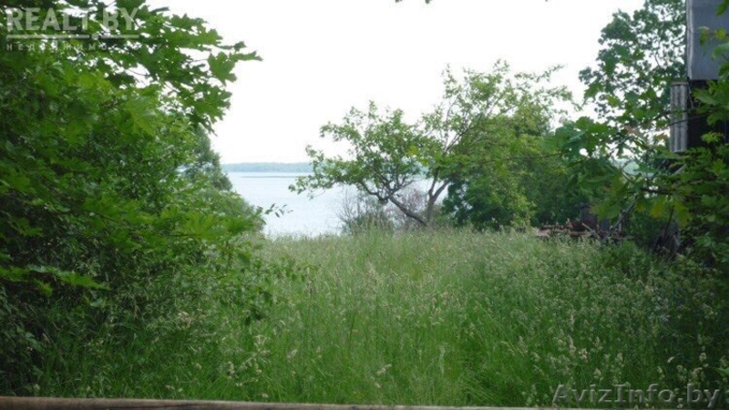 Участок под строительство дома 12сот. деревня Дукели, Браславский район - Изображение #4, Объявление #1580026