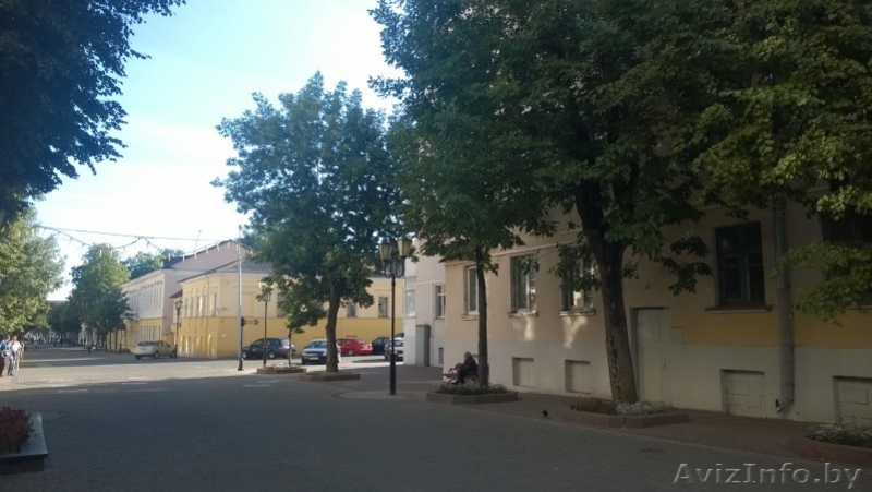 Срочно продам 3-х комнатную квартиру в витебске, ул.Советская д.23/34 - Изображение #2, Объявление #1593711