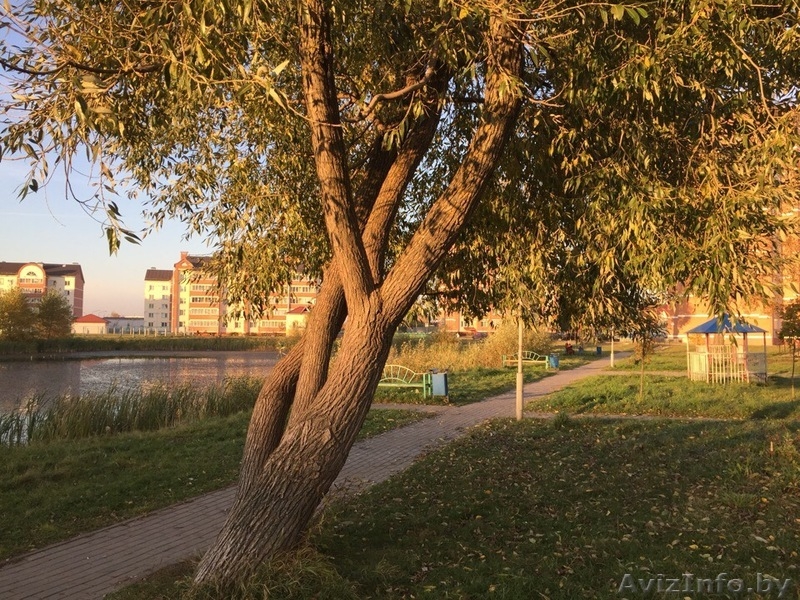 Замечательная 3-к на Титова - Изображение #5, Объявление #1635065