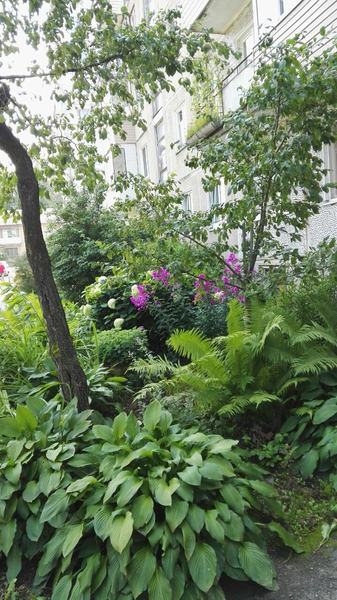 Продажа 1-комнатной квартиры, Витебск, улица Лазо - Изображение #1, Объявление #1665211